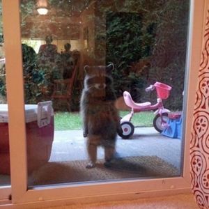 Meet your Posher, Chad